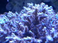 20140415_191020.jpg