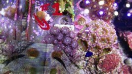 2014-03-30 16.50.24.jpg