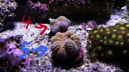 2014-03-30 17.19.06.jpg