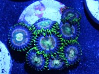 ImageUploadedByTapatalk1406173338.244347.jpg ImageUploadedByTapatalk1406173338.244347.jpg