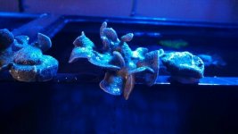 uploadfromtaptalk1385400904539.jpg