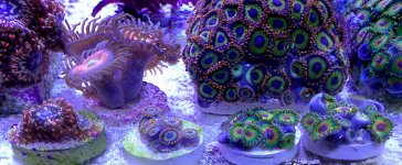 IMG_3241.jpg