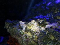 20140602_213851.jpg