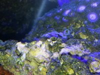 20140602_213857.jpg