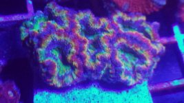 10509528_1502314693334703_5861185695652297258_n.jpg