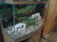 2013-12-01_11.24.50.jpg