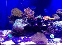 IMG_0363.jpg