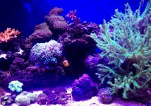 IMG_0364.jpg
