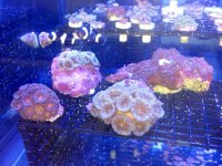IMG_20131126_120014.jpg
