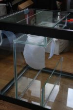 IMG_1699.jpg