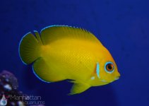 IMG_7258.jpg