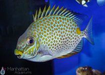 IMG_7273.jpg