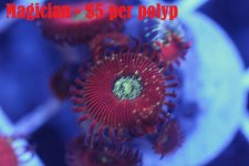 IMG_2208.jpg