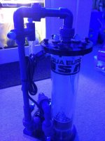 IMG_1307.jpg
