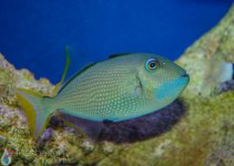 IMG_7289.jpg
