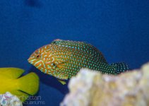 IMG_7296.jpg