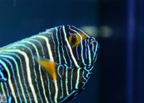 IMG_7306.jpg