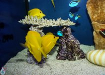 IMG_7310.jpg