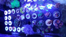 20140725_084312.jpg