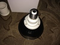 IMG_4846.JPG