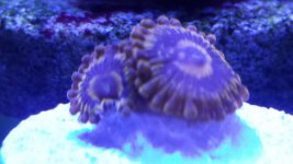 20140725_084151.jpg