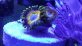 20140725_084144.jpg
