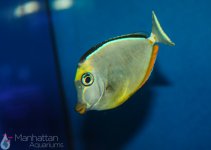IMG_7320.jpg