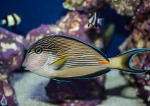 IMG_7322.jpg
