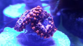 20140725_083310.jpg