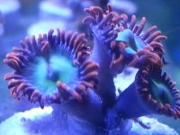 20140527_103254.jpg