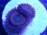 20140523_080218.jpg