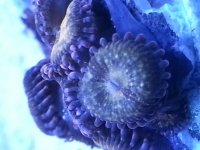 20140523_080345.jpg