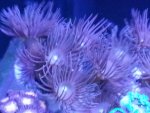 20140523_080313.jpg