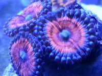 20140523_080119.jpg