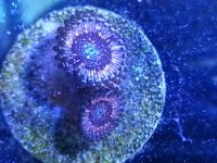 20140127_102833.jpg