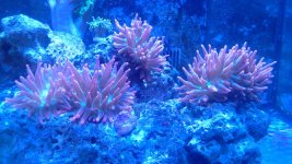 20141017_204514.jpg