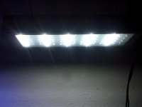 20141017_173829.jpg
