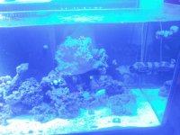 20141017_193926.jpg