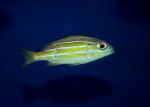 IMG_8895.jpg