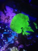 IMG_2405.jpg