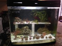 IMG_0145[1].jpg