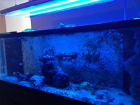 photo 2-2.JPG