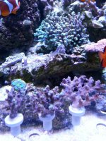 20140420_144650.jpg