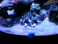 20140420_144717.jpg