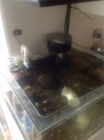 ImageUploadedByTapatalk1411218236.894278.jpg ImageUploadedByTapatalk1411218236.894278.jpg