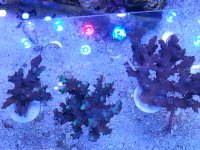 20140420_145046.jpg