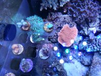 20140420_145133.jpg