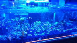 mms_img921804951.jpg