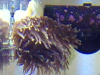 photo 2 (2).JPG