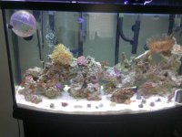 fts.jpg